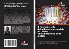 Bookcover of Il finanziamento dell'educazione speciale in Zambia: Un'esplorazione della pratica