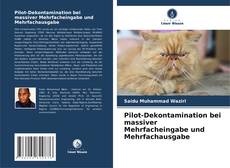 Portada del libro de Pilot-Dekontamination bei massiver Mehrfacheingabe und Mehrfachausgabe