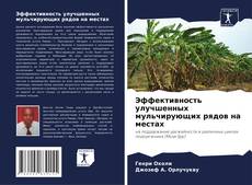 Couverture de Эффективность улучшенных мульчирующих рядов на местах