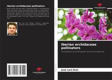 Bookcover of Iberian orchidaceae pollinators