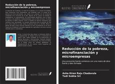 Bookcover of Reducción de la pobreza, microfinanciación y microempresas