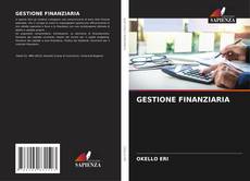 Bookcover of GESTIONE FINANZIARIA
