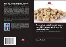 Capa do livro de Rôle des snacks extrudés nutritifs pour atténuer la malnutrition 