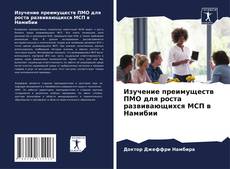 Изучение преимуществ ПМО для роста развивающихся МСП в Намибии kitap kapağı