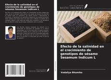 Copertina di Efecto de la salinidad en el crecimiento de genotipos de sésamo Sesamum Indicum L