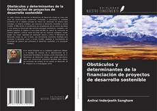 Copertina di Obstáculos y determinantes de la financiación de proyectos de desarrollo sostenible