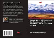 Copertina di Obstacles et déterminants du financement des projets de développement durable