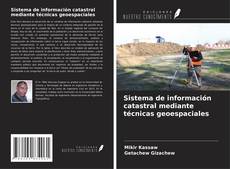 Copertina di Sistema de información catastral mediante técnicas geoespaciales