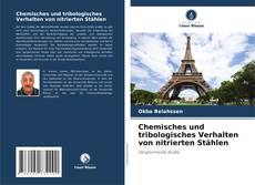 Capa do livro de Chemisches und tribologisches Verhalten von nitrierten Stählen 