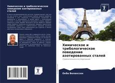 Buchcover von Химическое и трибологическое поведение азотированных сталей