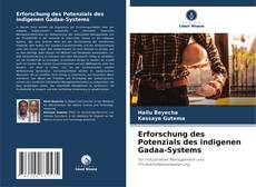 Capa do livro de Erforschung des Potenzials des indigenen Gadaa-Systems 