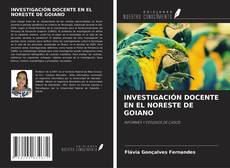 Copertina di INVESTIGACIÓN DOCENTE EN EL NORESTE DE GOIANO