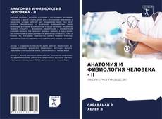 АНАТОМИЯ И ФИЗИОЛОГИЯ ЧЕЛОВЕКА - II的封面