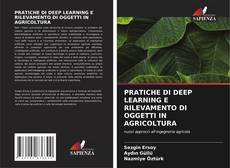 Buchcover von PRATICHE DI DEEP LEARNING E RILEVAMENTO DI OGGETTI IN AGRICOLTURA