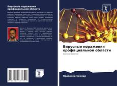 Вирусные поражения орофациальной области kitap kapağı