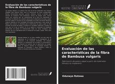 Borítókép a  Evaluación de las características de la fibra de Bambusa vulgaris - hoz