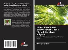 Обложка Valutazione delle caratteristiche della fibra di Bambusa vulgaris
