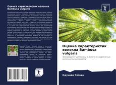 Bookcover of Оценка характеристик волокна Bambusa vulgaris