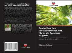 Capa do livro de Évaluation des caractéristiques des fibres de Bambusa vulgaris 