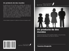 Un producto de dos mundos的封面