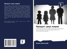 Продукт двух миров kitap kapağı