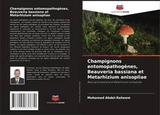 Champignons entomopathogènes, Beauveria bassiana et Metarhizium anisopliae kitap kapağı