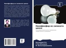 Нанофосфор из силиката цинка kitap kapağı