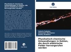 Bookcover of Physikalisch-chemische Umwandlungen in Kohlen, die durch elektrische Felder hervorgerufen werden