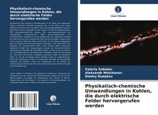 Copertina di Physikalisch-chemische Umwandlungen in Kohlen, die durch elektrische Felder hervorgerufen werden