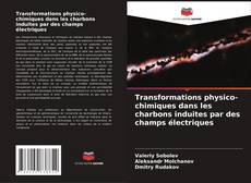 Copertina di Transformations physico-chimiques dans les charbons induites par des champs électriques