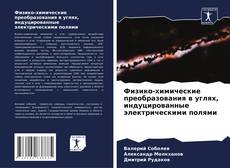 Borítókép a  Физико-химические преобразования в углях, индуцированные электрическими полями - hoz