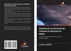 Обложка DINAMICHE CLIMATICHE NEL COMUNE DI DJOUGOU IN BENIN