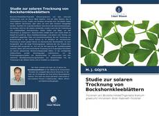 Studie zur solaren Trocknung von Bockshornkleeblättern kitap kapağı