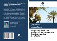 Bookcover of Morphologische und histologische Studien zur Entwicklung des Eierstocks