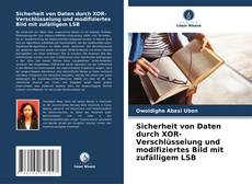 Buchcover von Sicherheit von Daten durch XOR-Verschlüsselung und modifiziertes Bild mit zufälligem LSB