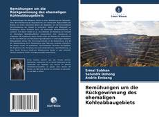 Buchcover von Bemühungen um die Rückgewinnung des ehemaligen Kohleabbaugebiets