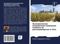 Bookcover of Экономическое воздействие изменения климата на растениеводство в Того