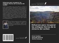 Copertina di Esfuerzos para recuperar las antiguas tierras de la minería del carbón