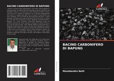 BACINO CARBONIFERO DI BAPUNG的封面