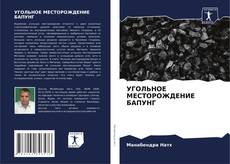 УГОЛЬНОЕ МЕСТОРОЖДЕНИЕ БАПУНГ kitap kapağı