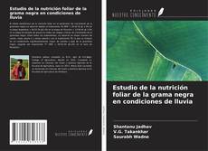 Estudio de la nutrición foliar de la grama negra en condiciones de lluvia kitap kapağı