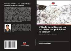 Couverture de L'étude détaillée sur les bactéries qui précipitent le calcium