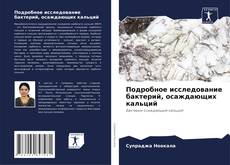 Borítókép a  Подробное исследование бактерий, осаждающих кальций - hoz
