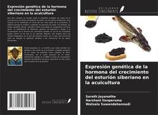 Buchcover von Expresión genética de la hormona del crecimiento del esturión siberiano en la acuicultura