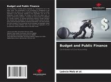 Bookcover of Budget and Public Finance