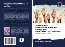 Portada del libro de Этническая принадлежность как инструмент политического насилия