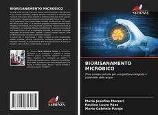 BIORISANAMENTO MICROBICO kitap kapağı