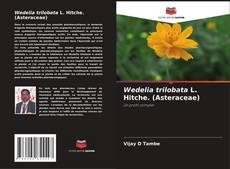 Capa do livro de Wedelia trilobata L. Hitche. (Asteraceae) 