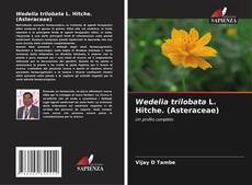 Couverture de Wedelia trilobata L. Hitche. (Asteraceae)