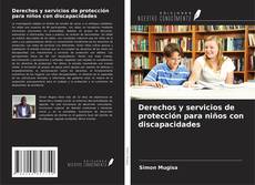 Derechos y servicios de protección para niños con discapacidades kitap kapağı